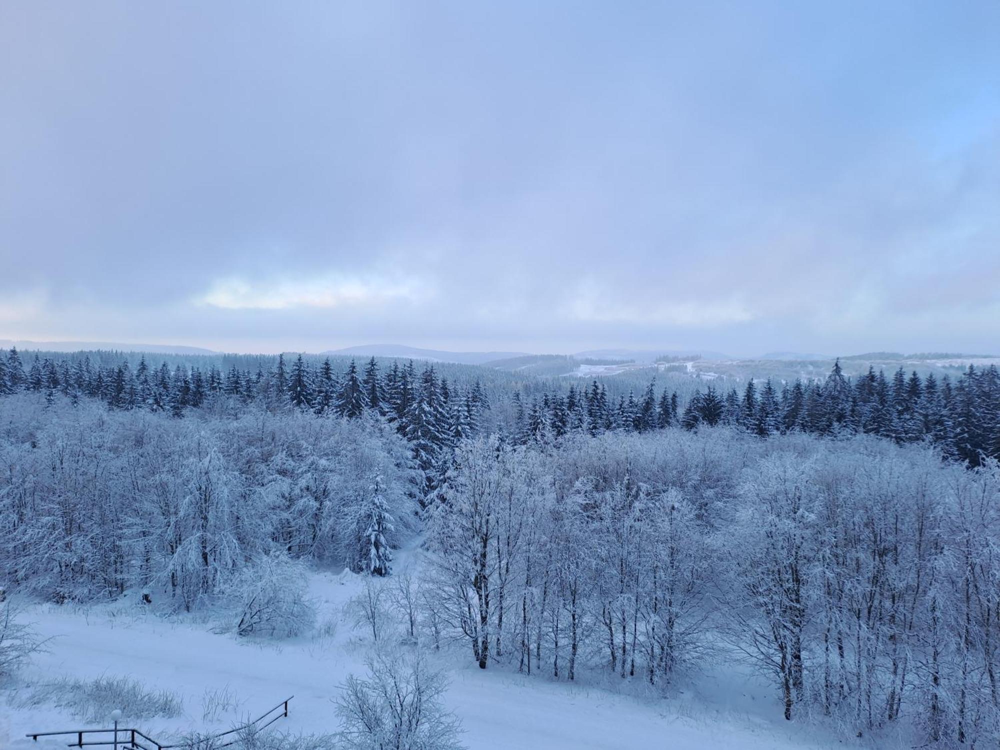 Ferienwohnung Skadi, Hahnenklee Гослар Екстериор снимка