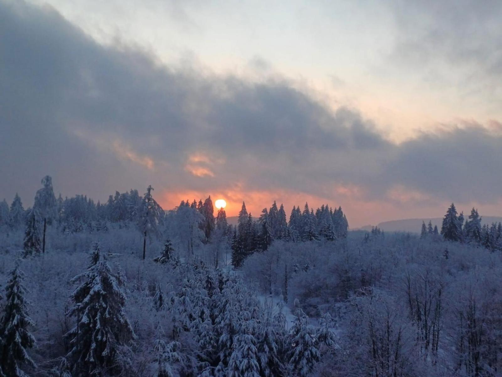 Ferienwohnung Skadi, Hahnenklee Гослар Екстериор снимка
