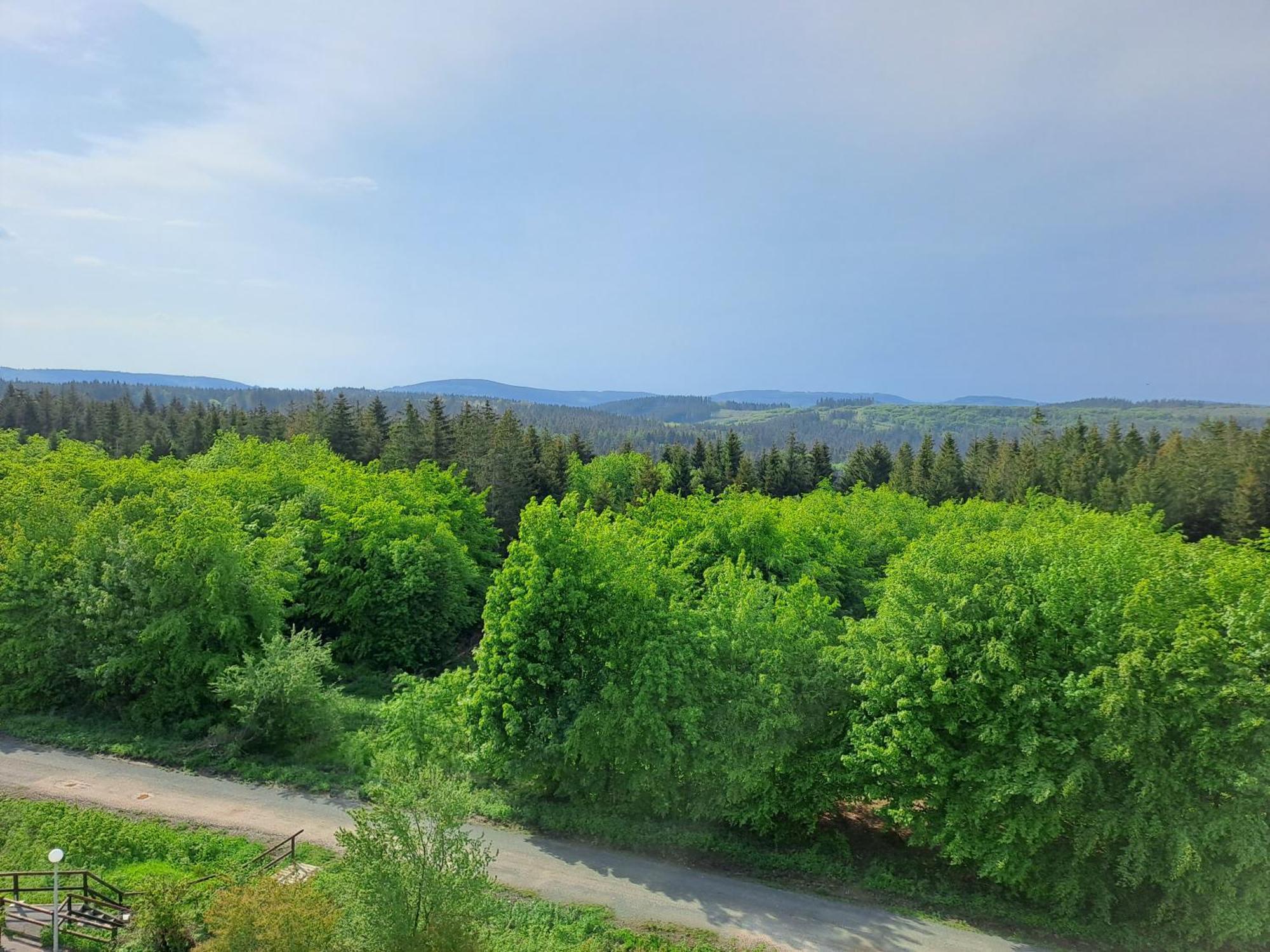 Ferienwohnung Skadi, Hahnenklee Гослар Екстериор снимка